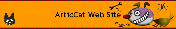 ArticCat Web Site